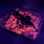 接骨院院長のソロキャンプスタイルat相模原