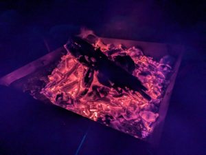 接骨院院長のソロキャンプスタイルat相模原